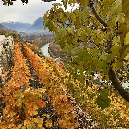 Apartman Alpes - Valais - Au Chalet Les Roses *
