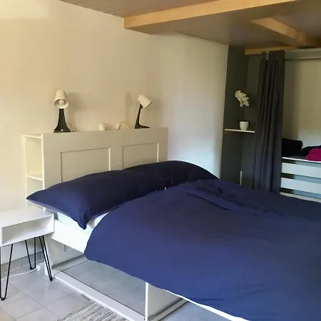 Alpes - Valais - Au Chalet Les Roses Apartman *