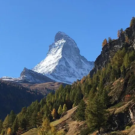 Apartman Alpes - Valais - Au Chalet Les Roses *